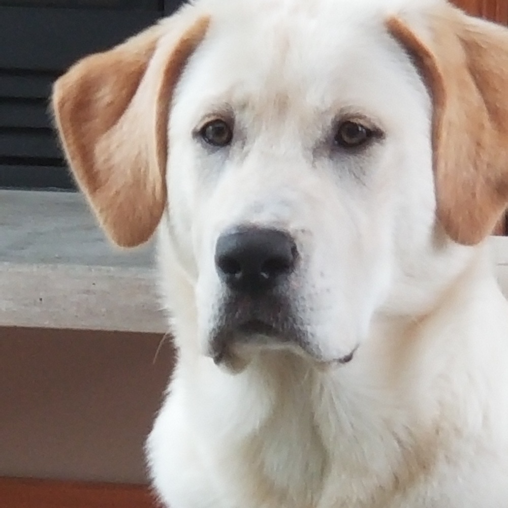 Meet your Posher, Danny